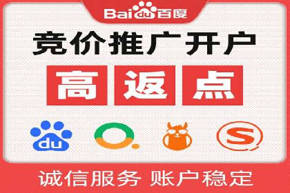 行业领先的SEM投放效果案例解析