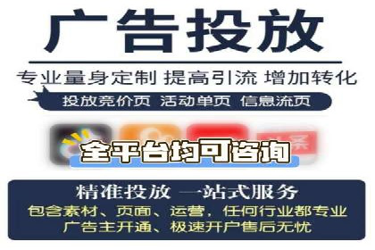 SEM代运营服务公司案例分析：数据驱动营销策略